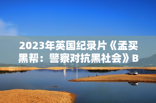 2023年英国纪录片《孟买黑帮：警察对抗黑社会》BD英语中字