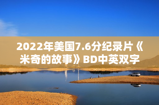 2022年美国7.6分纪录片《米奇的故事》BD中英双字