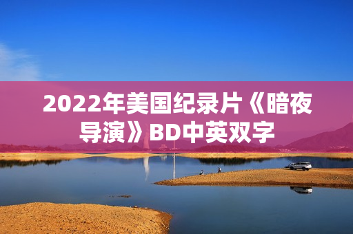 2022年美国纪录片《暗夜导演》BD中英双字
