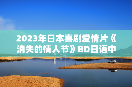 2023年日本喜剧爱情片《消失的情人节》BD日语中字