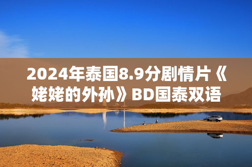 2024年泰国8.9分剧情片《姥姥的外孙》BD国泰双语中字