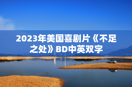 2023年美国喜剧片《不足之处》BD中英双字