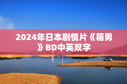 2024年日本剧情片《箱男》BD中英双字