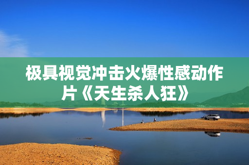 极具视觉冲击火爆性感动作片《天生杀人狂》