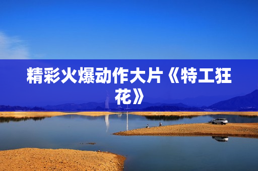 精彩火爆动作大片《特工狂花》