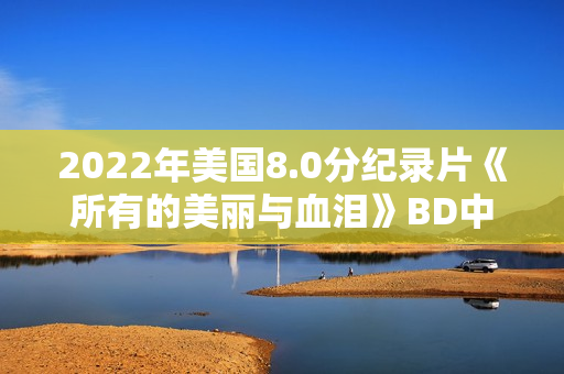 2022年美国8.0分纪录片《所有的美丽与血泪》BD中英双字