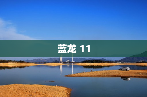 蓝龙 11