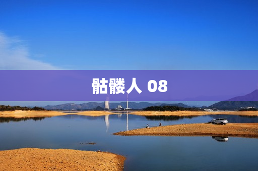 骷髅人 08
