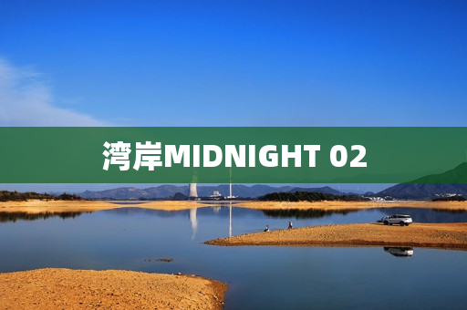 湾岸MIDNIGHT 02