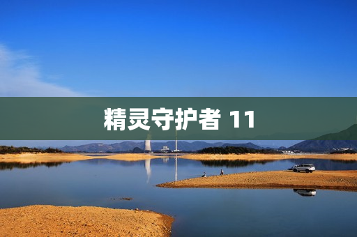 精灵守护者 11
