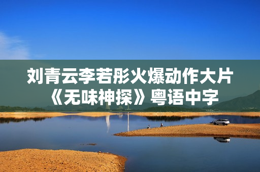 刘青云李若彤火爆动作大片《无味神探》粤语中字