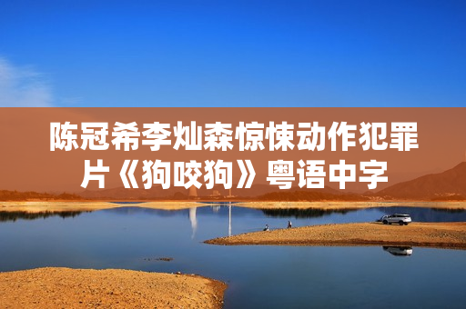 陈冠希李灿森惊悚动作犯罪片《狗咬狗》粤语中字