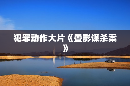 犯罪动作大片《叠影谋杀案》