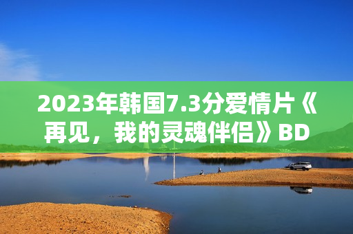 2023年韩国7.3分爱情片《再见，我的灵魂伴侣》BD韩语中字