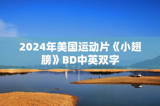 2024年美国运动片《小翅膀》BD中英双字