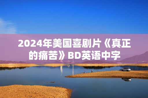 2024年美国喜剧片《真正的痛苦》BD英语中字