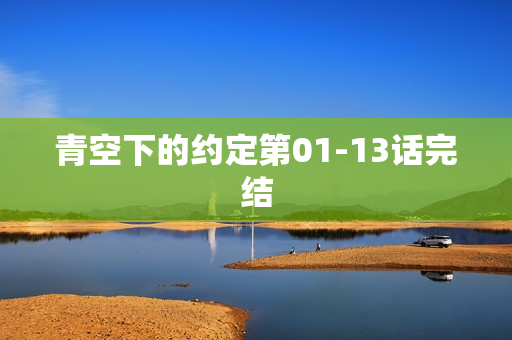 青空下的约定第01-13话完结