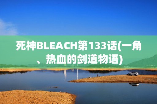 死神BLEACH第133话(一角、热血的剑道物语)