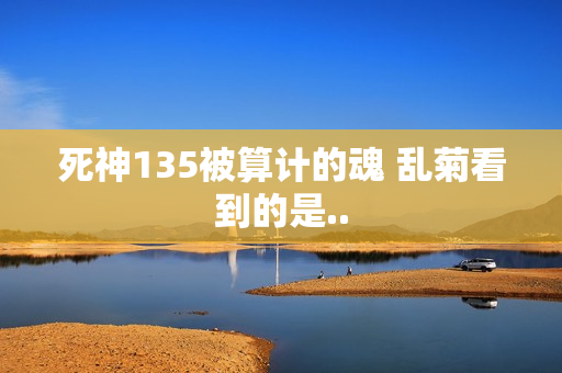 死神135被算计的魂 乱菊看到的是..