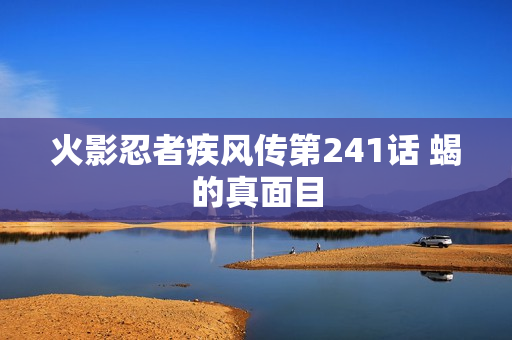 火影忍者疾风传第241话 蝎的真面目