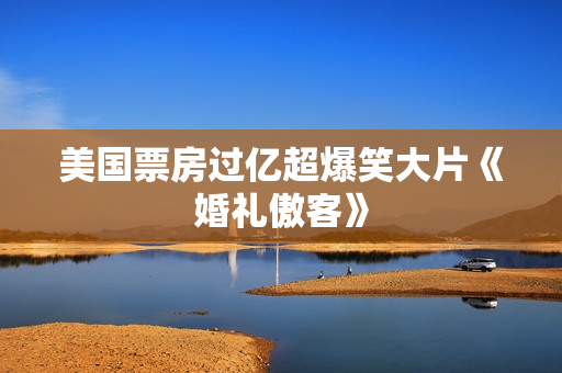 美国票房过亿超爆笑大片《婚礼傲客》