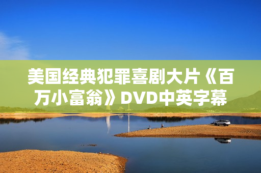 美国经典犯罪喜剧大片《百万小富翁》DVD中英字幕