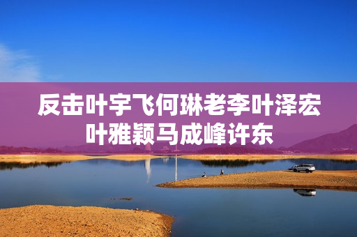 反击叶宇飞何琳老李叶泽宏叶雅颖马成峰许东