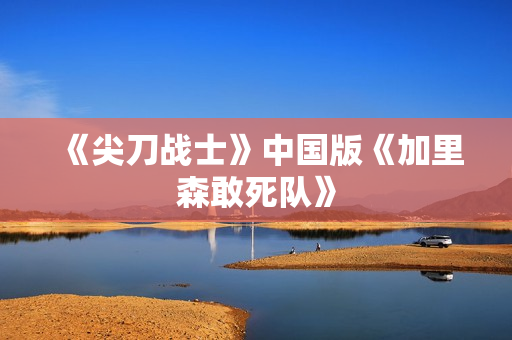 《尖刀战士》中国版《加里森敢死队》