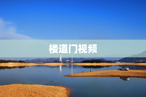 楼道门视频