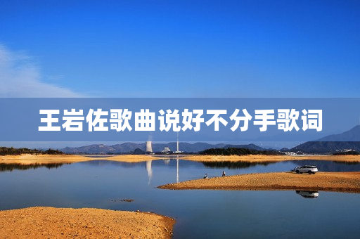 王岩佐歌曲说好不分手歌词