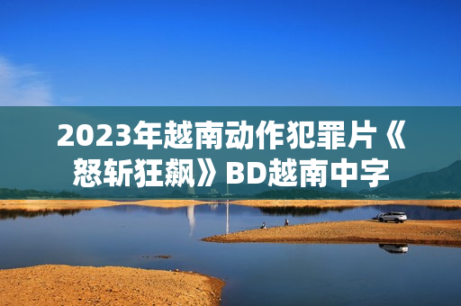 2023年越南动作犯罪片《怒斩狂飙》BD越南中字