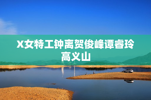 X女特工钟离贺俊峰谭睿玲高义山