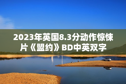 2023年英国8.3分动作惊悚片《盟约》BD中英双字