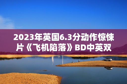 2023年英国6.3分动作惊悚片《飞机陷落》BD中英双字