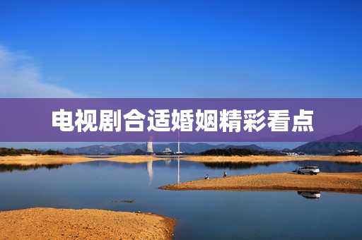 电视剧合适婚姻精彩看点