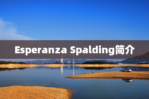 Esperanza Spalding简介