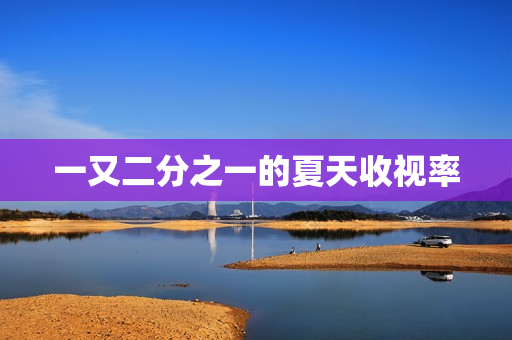 一又二分之一的夏天收视率