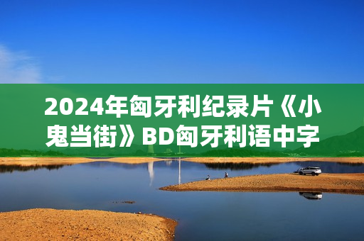 2024年匈牙利纪录片《小鬼当街》BD匈牙利语中字