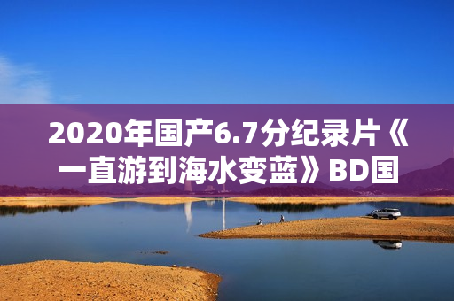 2020年国产6.7分纪录片《一直游到海水变蓝》BD国语中字