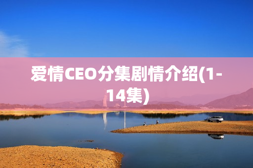 爱情CEO分集剧情介绍(1-14集) 爱情CEO分集剧情介绍(1-14集)