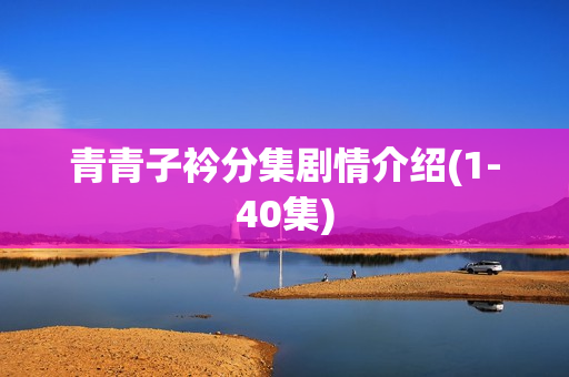青青子衿分集剧情介绍(1-40集)