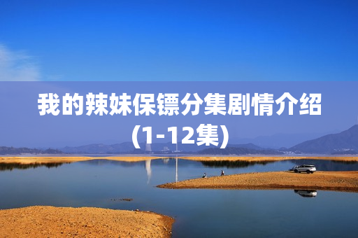 我的辣妹保镖分集剧情介绍(1-12集)