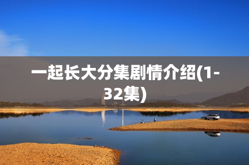 一起长大分集剧情介绍(1-32集)