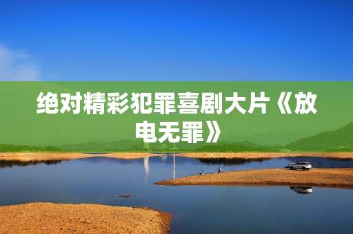 绝对精彩犯罪喜剧大片《放电无罪》
