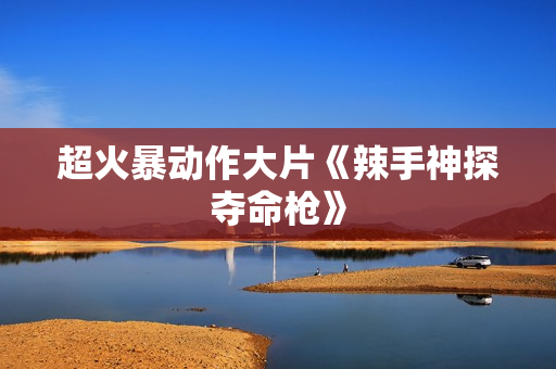 超火暴动作大片《辣手神探夺命枪》