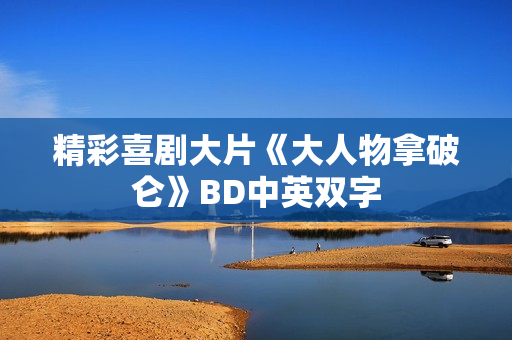 精彩喜剧大片《大人物拿破仑》BD中英双字
