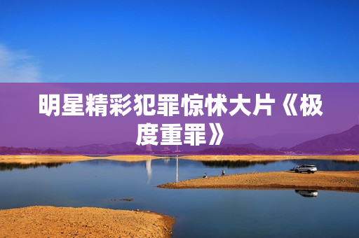 明星精彩犯罪惊怵大片《极度重罪》