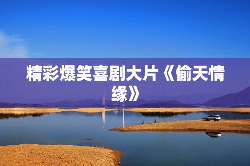 精彩爆笑喜剧大片《偷天情缘》