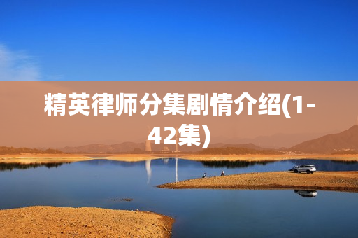 精英律师分集剧情介绍(1-42集)