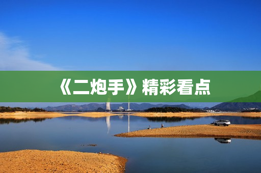《二炮手》精彩看点
